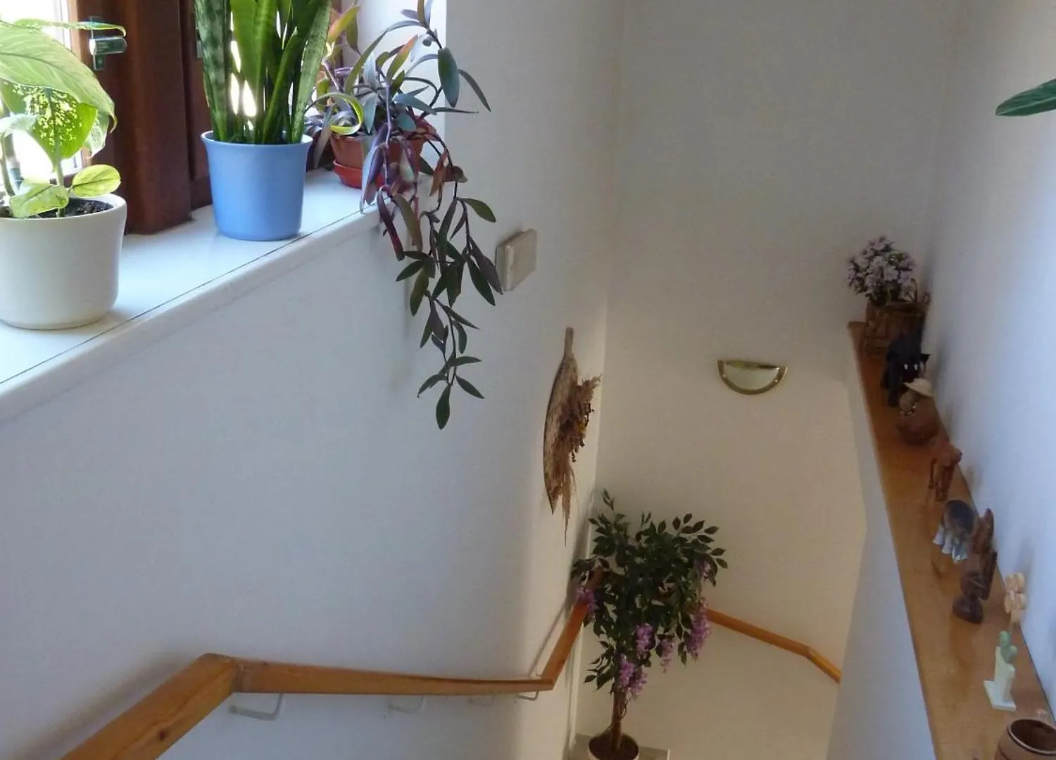 Guest house Pension Boruvka Spindleruv Mlyn