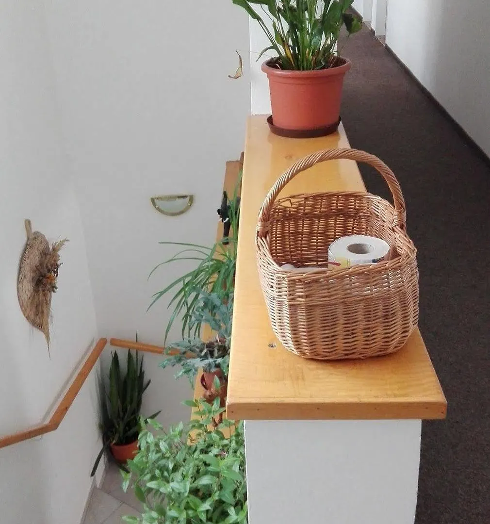 Guest house Pension Boruvka Spindleruv Mlyn